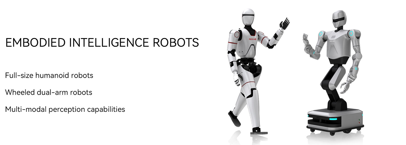 Complete Embodied Humanoid Robot Assembly